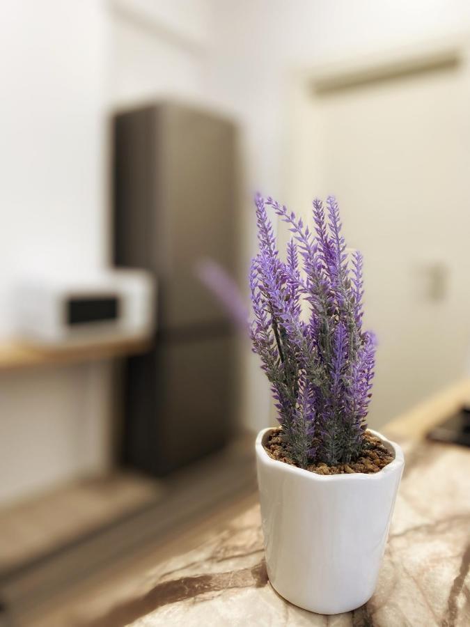 Homey Apartament 2 Rooms Palas Mall 이아시 외부 사진